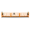 ZLP1000 suspended platform